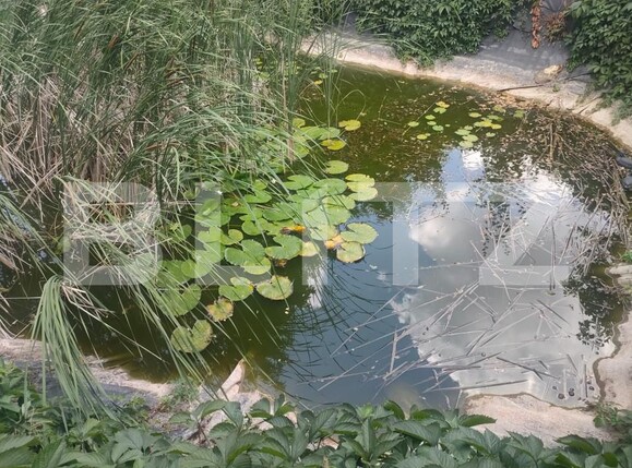 Teren de vânzare Patrauti - 154045TV | BLITZ Suceava | Poza6