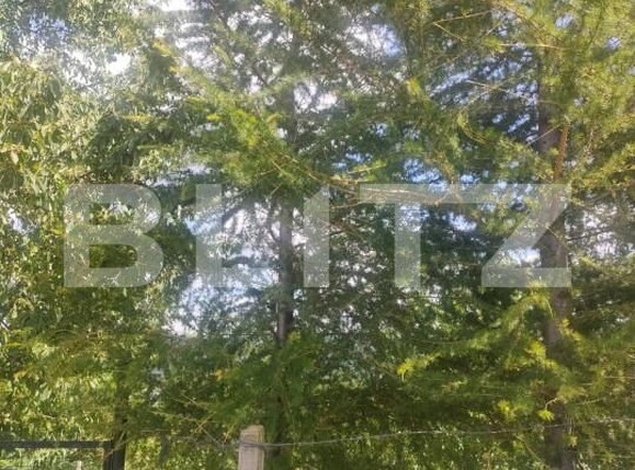 Teren de vânzare Patrauti - 154045TV | BLITZ Suceava | Poza19