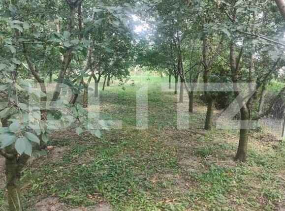 Teren de vânzare Patrauti - 154045TV | BLITZ Suceava | Poza18