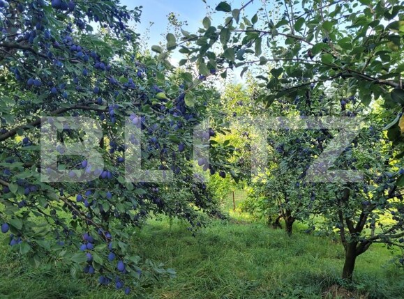 Teren de vânzare Patrauti - 154045TV | BLITZ Suceava | Poza21