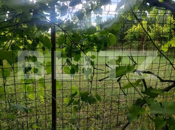 Teren de vânzare Patrauti - 154045TV | BLITZ Suceava | Poza7