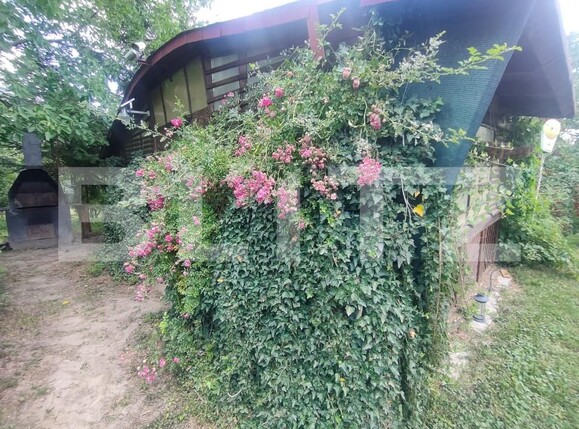 Teren de vânzare Patrauti - 154045TV | BLITZ Suceava | Poza13