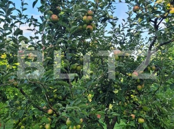 Teren de vânzare Patrauti - 154045TV | BLITZ Suceava | Poza25