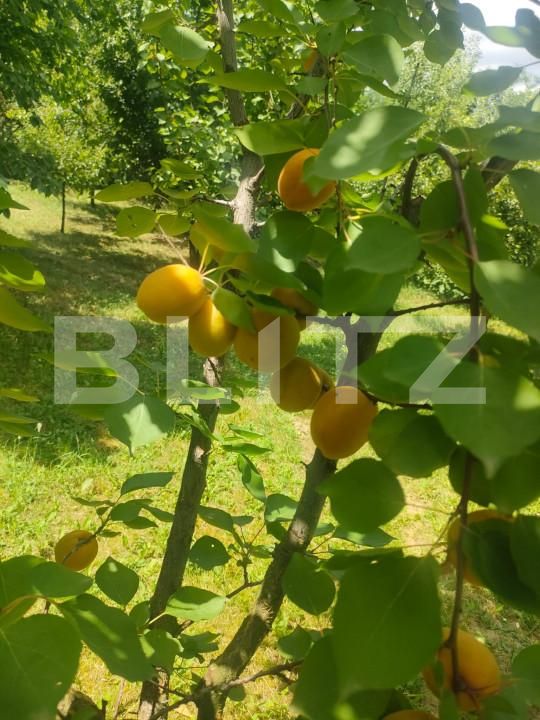 Teren de vânzare Patrauti - 154045TV | BLITZ Suceava | Poza22