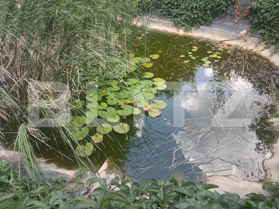 Teren de vânzare Patrauti - 154045TV | BLITZ Suceava | Poza6