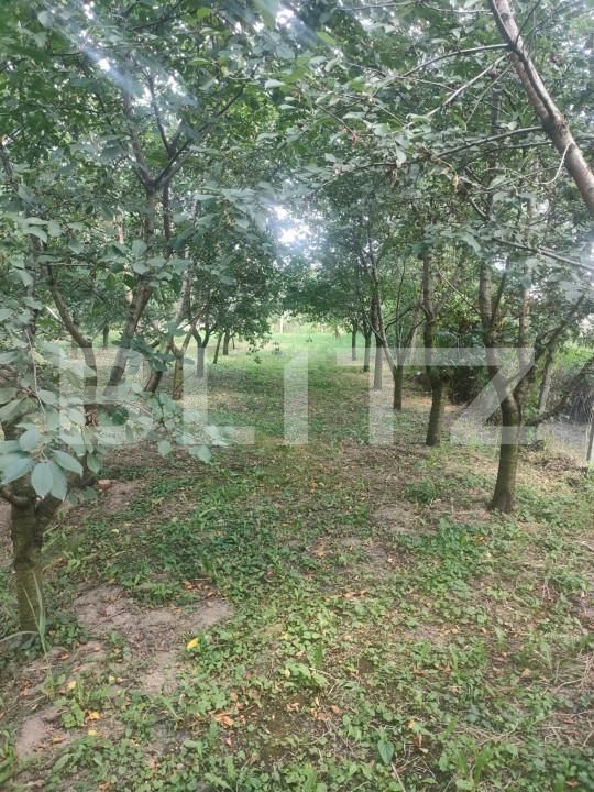 Teren de vânzare Patrauti - 154045TV | BLITZ Suceava | Poza18