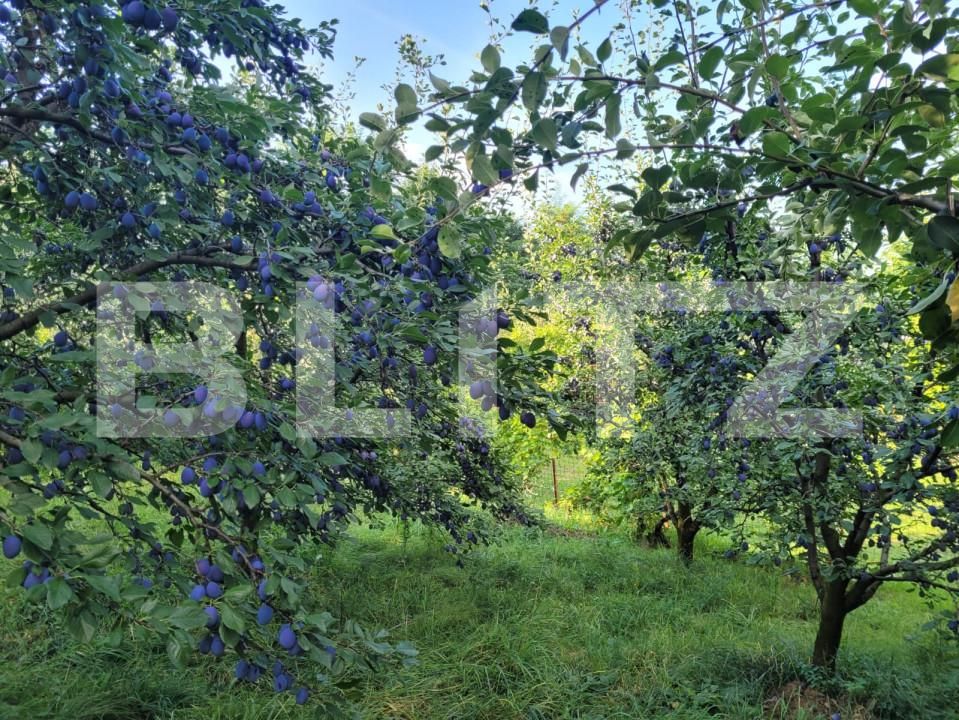 Teren de vânzare Patrauti - 154045TV | BLITZ Suceava | Poza21