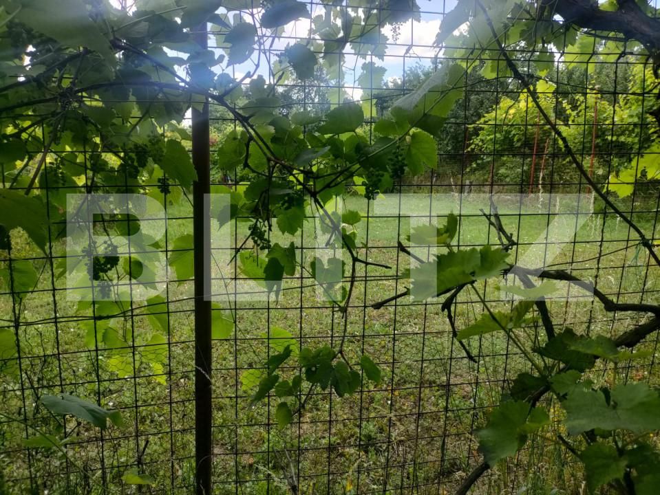 Teren de vânzare Patrauti - 154045TV | BLITZ Suceava | Poza7