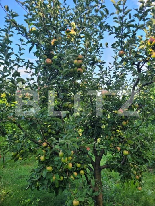 Teren de vânzare Patrauti - 154045TV | BLITZ Suceava | Poza25