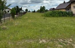 Teren intravilan, 2500 mp, Tisauti