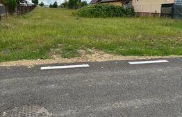 Teren intravilan, 2500 mp, Tisauti