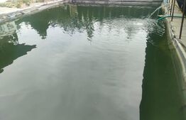 Teren intravilan cu livada si bazine piscicole, 4499mp, Hurjuieni