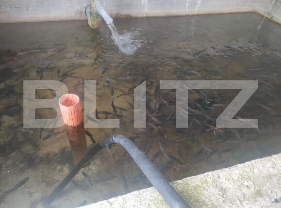 Teren de vânzare Exterior Nord - 154136TV | BLITZ Suceava | Poza13