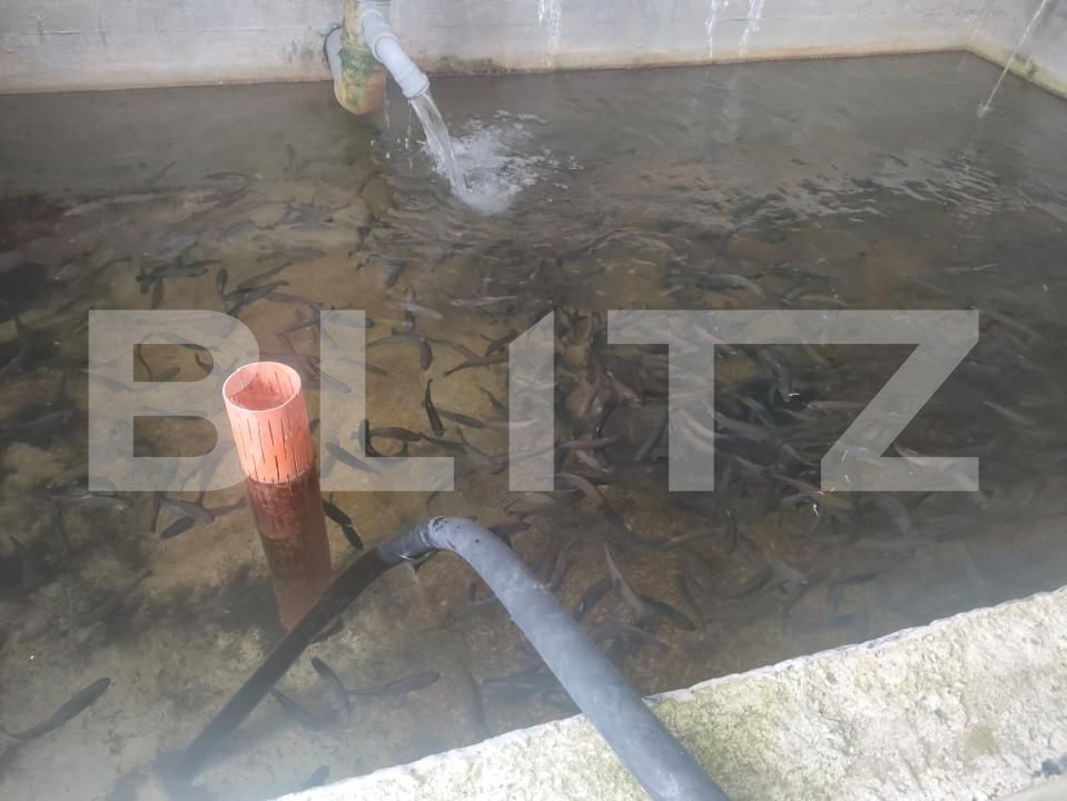 Teren de vânzare Exterior Nord - 154136TV | BLITZ Suceava | Poza13