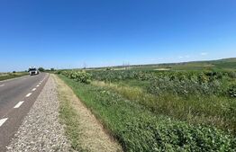 Teren extravilan E 85 , 10000 mp , Cumparatura