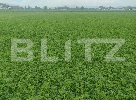 Teren de vânzare Exterior Nord - 154193TV | BLITZ Suceava | Poza1