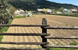 Teren intravilan 750 mp, în Vama