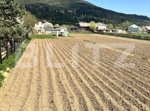 Teren de vânzare Vama - 154221TV | BLITZ Suceava | Poza1