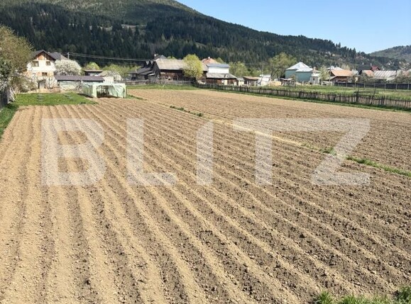 Teren de vânzare Vama - 154221TV | BLITZ Suceava | Poza3