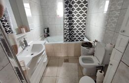 Ocazie! Doua case individuale în aceeasi curte în Radauti