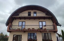 Ocazie! Doua case individuale în aceeasi curte în Radauti