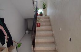 Ocazie! Doua case individuale în aceeasi curte în Radauti