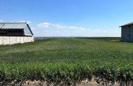 Oportunitate de investitie!!! Teren intravilan, 9782 mp, zona Corocaiesti