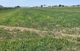 Oportunitate de investitie!!! Teren intravilan, 9782 mp, zona Corocaiesti