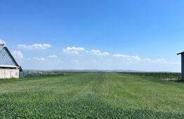 Oportunitate de investitie!!! Teren intravilan, 9782 mp, zona Corocaiesti