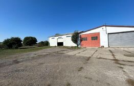 Hala, 220 mp, zona Jumbo