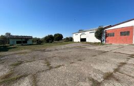 Hala, 220 mp, zona Jumbo