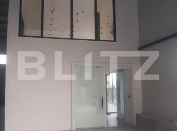 Spațiu industrial de închiriat Ipotesti - 154339SII | BLITZ Suceava | Poza5
