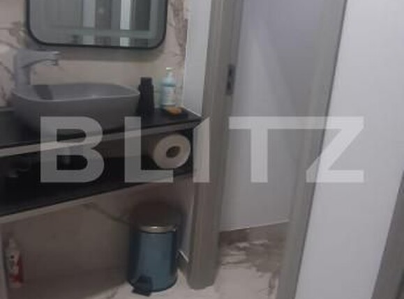 Spațiu industrial de închiriat Ipotesti - 154339SII | BLITZ Suceava | Poza11