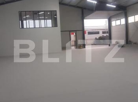 Spațiu industrial de închiriat Ipotesti - 154339SII | BLITZ Suceava | Poza4