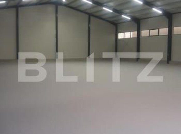 Spațiu industrial de închiriat Ipotesti - 154339SII | BLITZ Suceava | Poza3