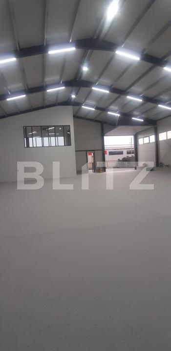 Spațiu industrial de închiriat Ipotesti - 154339SII | BLITZ Suceava | Poza4