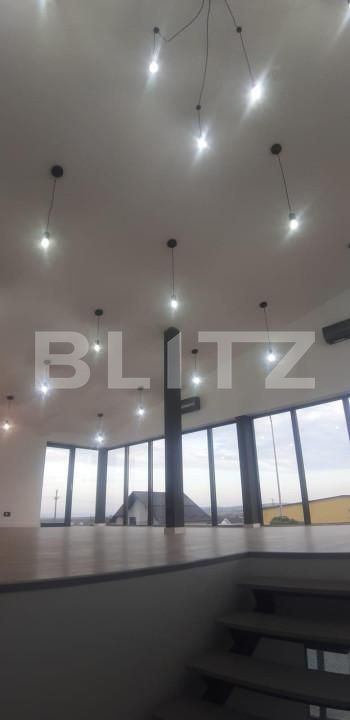 Spațiu industrial de închiriat Ipotesti - 154339SII | BLITZ Suceava | Poza10