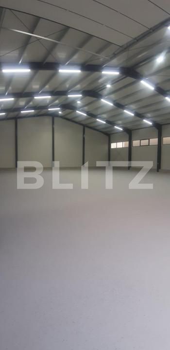 Spațiu industrial de închiriat Ipotesti - 154339SII | BLITZ Suceava | Poza3