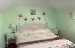 Pensiune 5 camere, 148 mp utili, 978 mp teren, Cacica