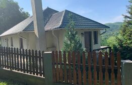 Pensiune 5 camere, 148 mp utili, 978 mp teren, Cacica