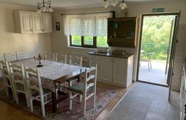 Pensiune 5 camere, 148 mp utili, 978 mp teren, Cacica