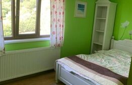 Pensiune 5 camere, 148 mp utili, 978 mp teren, Cacica