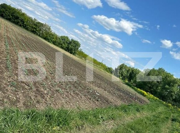 Teren de vânzare Radauti - 154449TV | BLITZ Suceava | Poza1