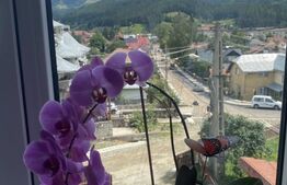 Casa - centru Câmpulung Moldovenesc