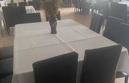 Pensiune + Restaurant + afacere la cheie Broșteni, SV