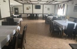 Pensiune + Restaurant + afacere la cheie Broșteni, SV