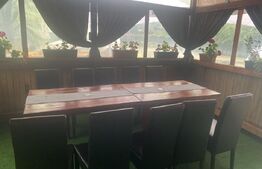 Pensiune + Restaurant + afacere la cheie Broșteni, SV