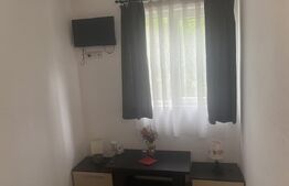 Pensiune + Restaurant + afacere la cheie Broșteni, SV