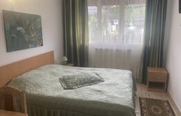 Pensiune + Restaurant + afacere la cheie Broșteni, SV