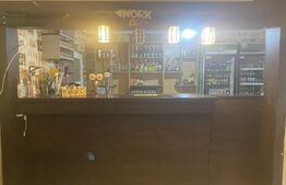 Pensiune + Restaurant + afacere la cheie Broșteni, SV